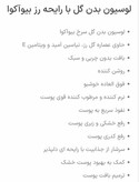 لوسیون بدن گل سرخ